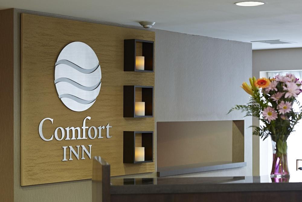 Comfort Inn Корнер-Брук Экстерьер фото